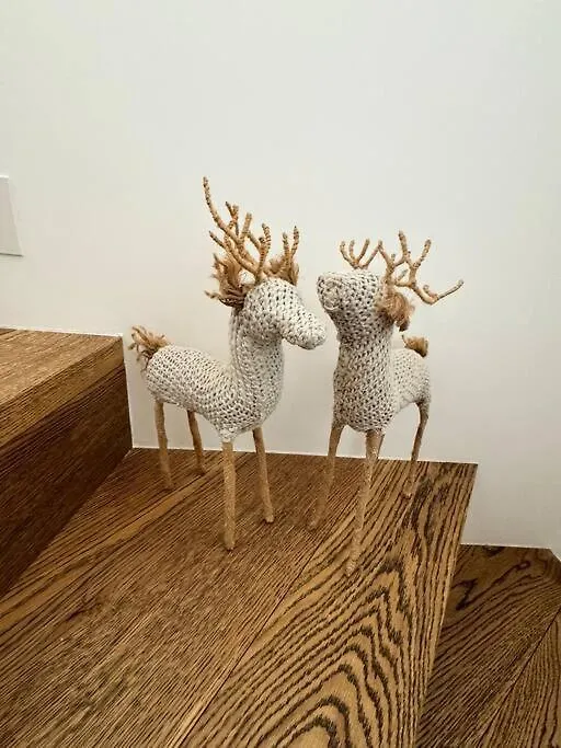 Lazy Bear Lodge Essert-Romand フランス